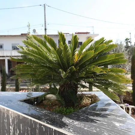 Park Hotel Ksamil